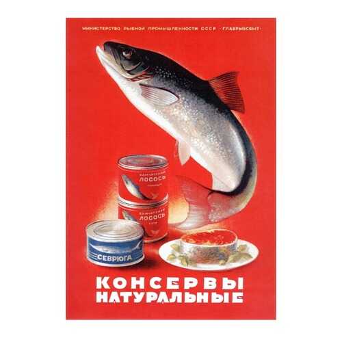 Плакат СТ-Диалог Консервы натуральные, СОВ-535, лам.бумага, 60х90 см в Комус