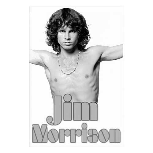 Постер СТ-Диалог Jim Morrison, МУЗ-314, бумага, 60х90 см в Комус