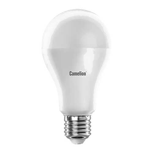 Светодиодная лампа Camelion BasicPower LED17-A65/845/E27 12309 Белый в Комус