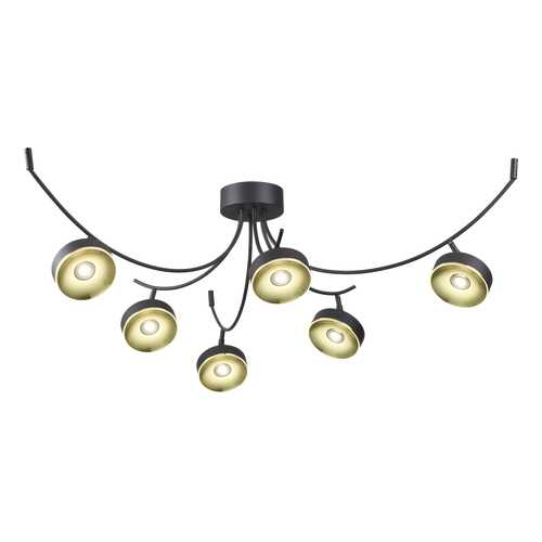 Люстра потолочная Odeon Light 3812/42CL в Комус