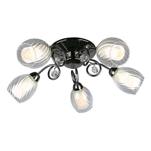Люстра потолочная OMNILUX OML-31607-05 в Комус