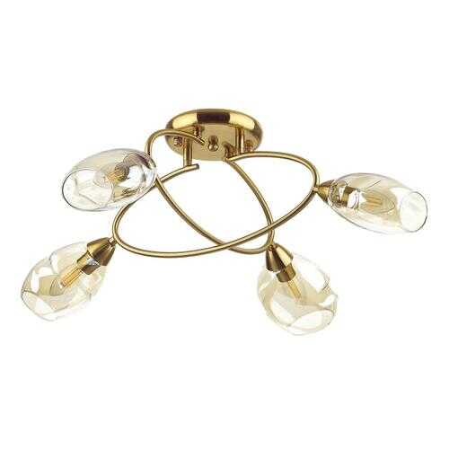 Потолочная люстра Lumion Orla 4483/4C в Комус
