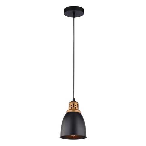 A4248SP-1BK Подвесной светильник Arte Lamp Eurica в Комус
